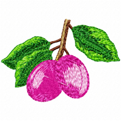 Plums Embroidery Design 1